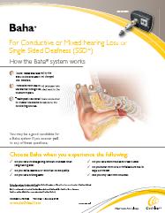 “How the Baha system works”